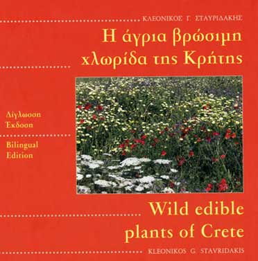 Wild edible plant recipes