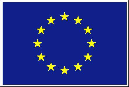 EU Flag EU Flag