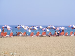 a line of colorful umbrellas on the beach