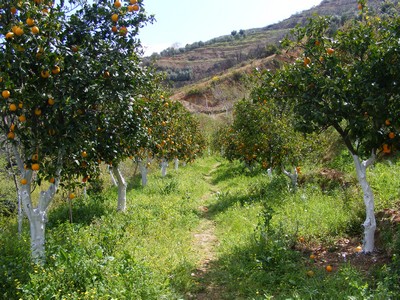 December in Crete