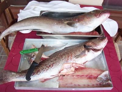Freshly caught and prepared fish on a tray with a knife, ready for cooking, showcasing traditional Cretan seafood cuisine. Freshly caught and prepared fish on a tray with a knife, ready for cooking, showcasing traditional Cretan seafood cuisine.