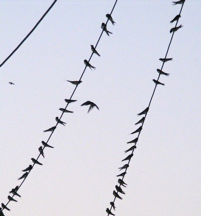 October in Crete October in Crete