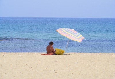 Solitary sunbather