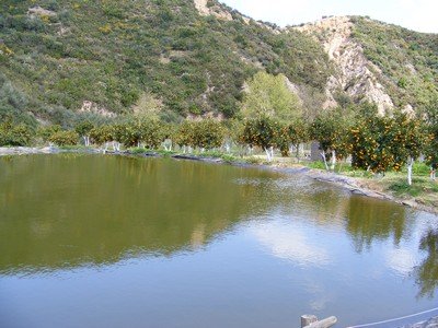 April in Crete