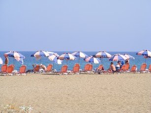 a line of colorful umbrellas on the beach