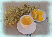 Greek Mountain Tea